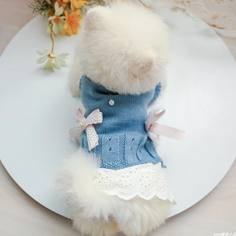 1PC Pet Clothing Dog Cat Autumn/Winter Blue Lady Knitted Skirt Suitable for Small and Medium sized Dogs