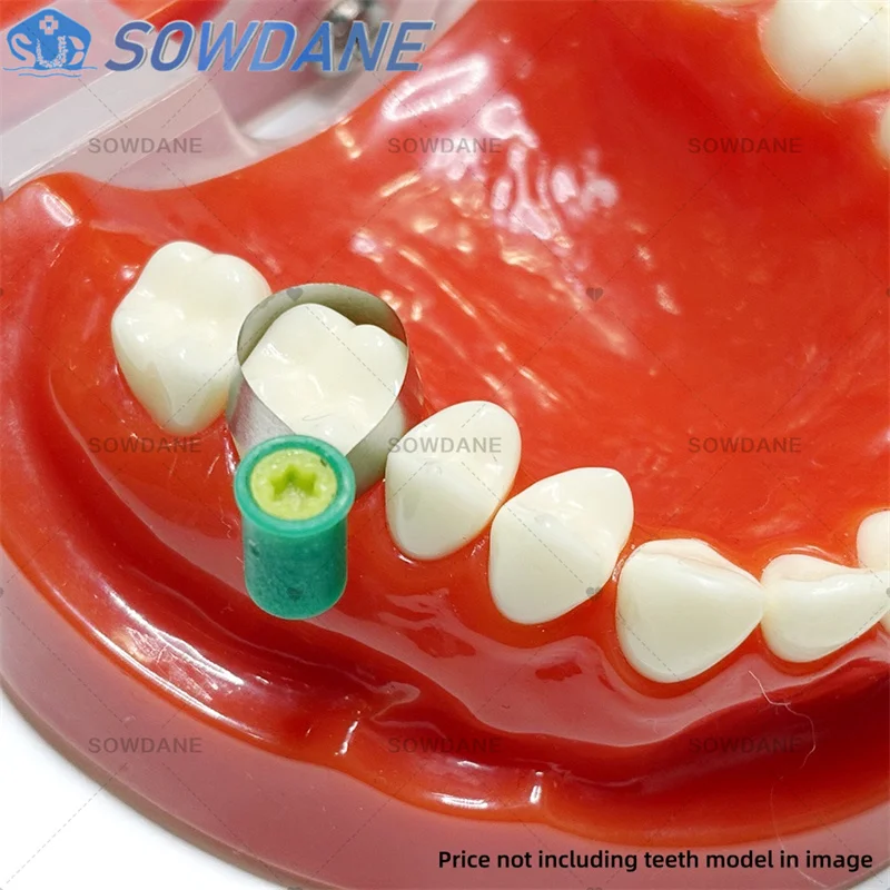 Picture 4: 50pc/Box Dental Matrix Bands Steel Matrix Double-Side Contoured Anatomically Shaped Matrix Bands for Dentistry with Tool