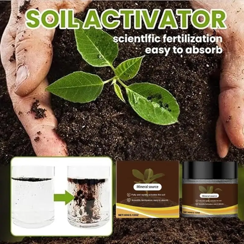 Soil Succulents Veg…