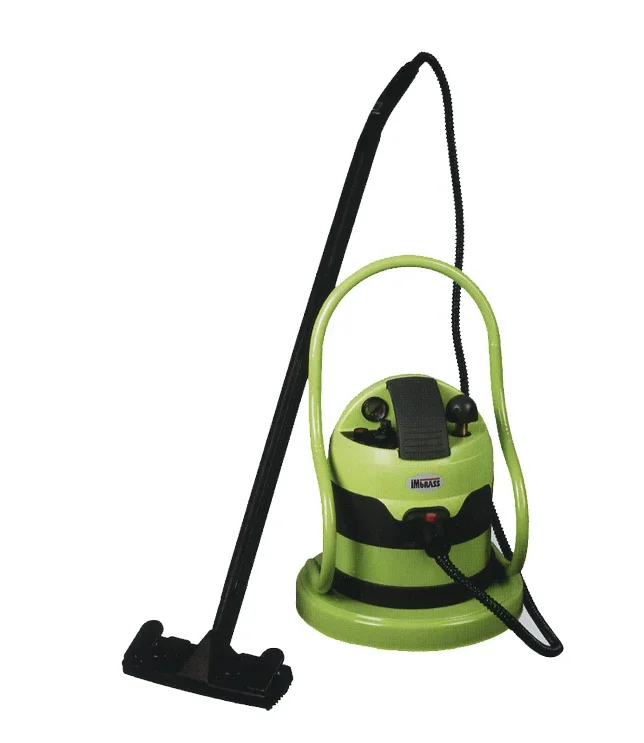 High temperature car steam sauna cleaning machine to kill interior steam bacteria disinfection car genuine