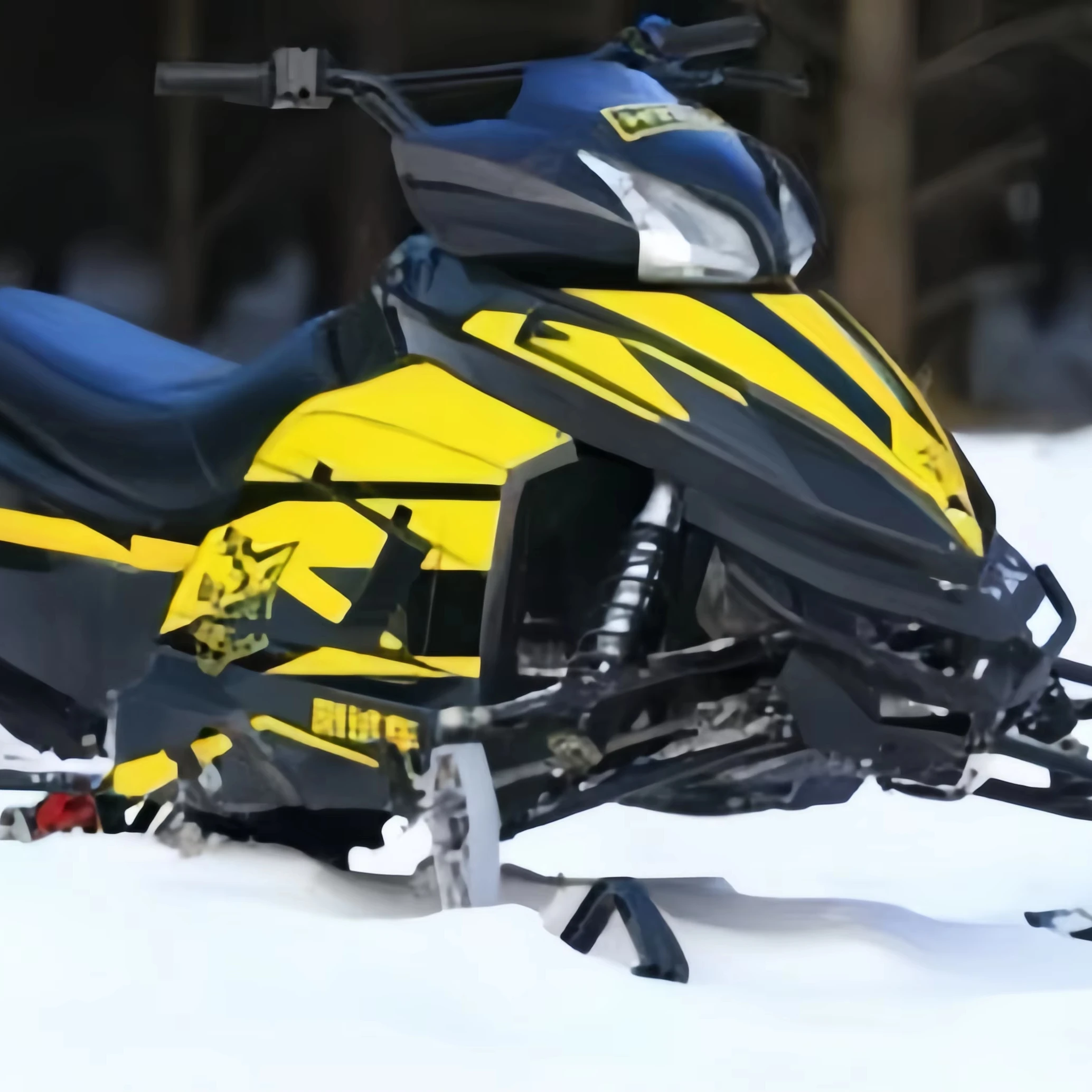 

DO Экологически чистые снегоходы Высококачественные электрические снегоходы для взрослых и детей Фабрика Горячие продажи