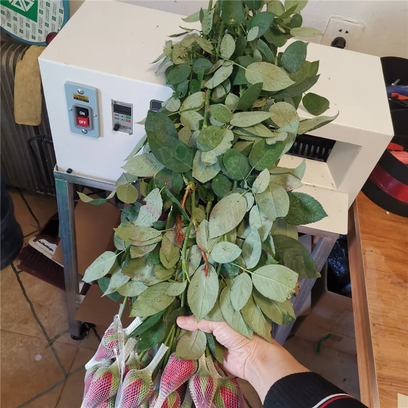 ขายร้อนมืออาชีพเชิงพาณิชย์เดสก์ท็อปไฟฟ้าปรับความเร็วสําหรับการขจัดหนามและตัดรากของดอกกุหลาบ