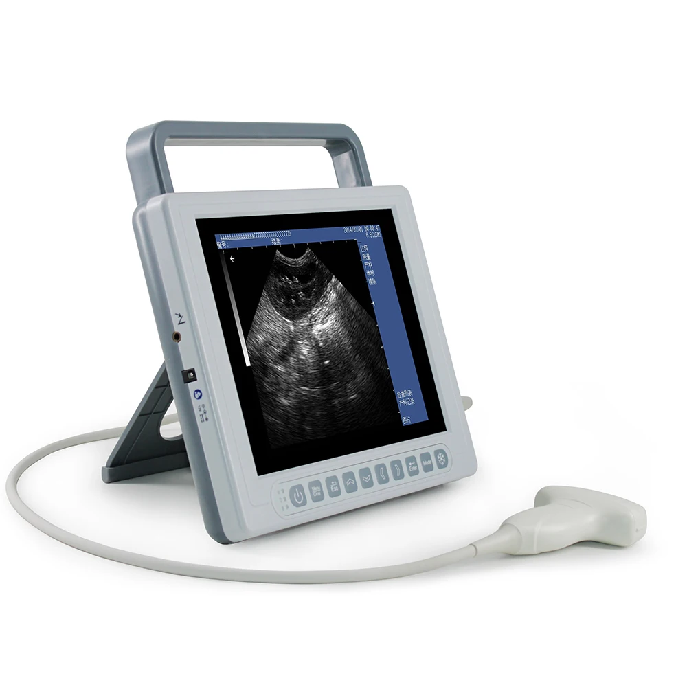 Veterinary all-digital B-mode ultrasound diagnostic instrument