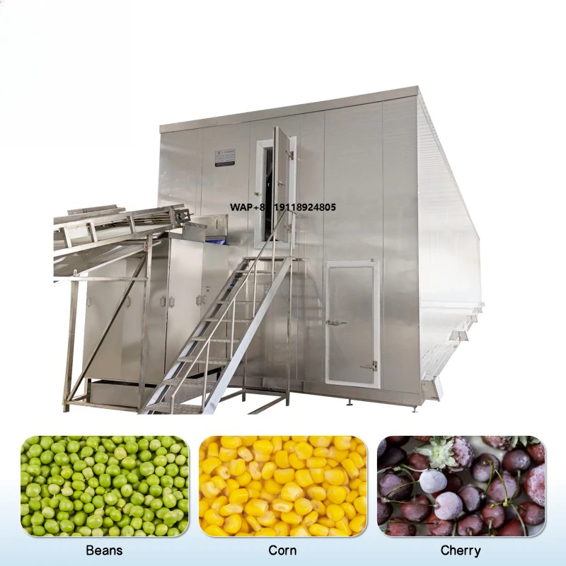 Factory Direct Price IQF Freezer - Fruit & Veg Processing Line for Strawberry/Grape/Broccoli/Pineapple