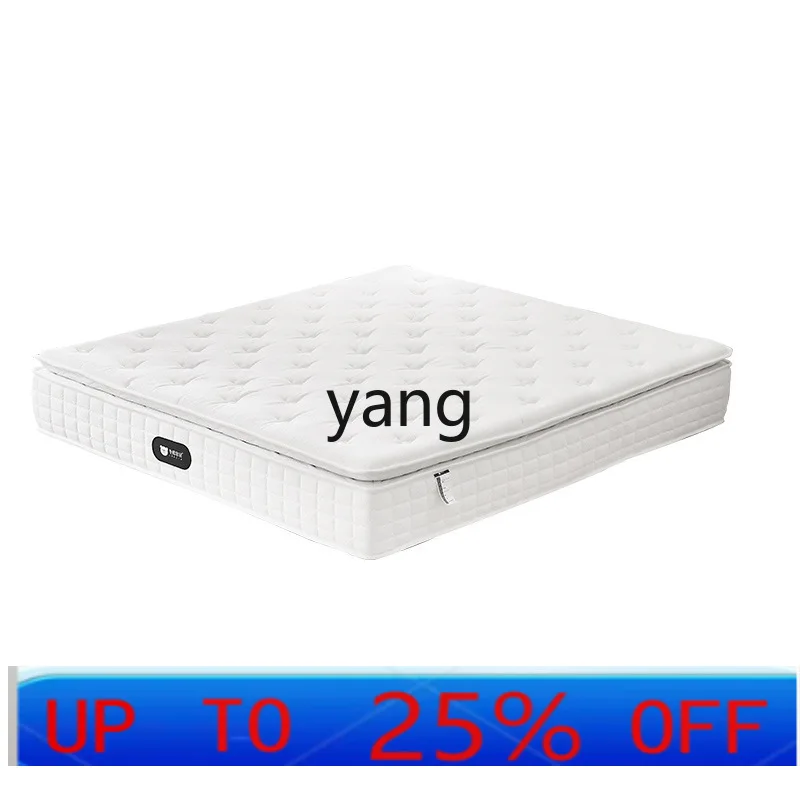 

LTT Electric Smart Mattress Home Multifunctional Bedroom Double Mattress Electric Independent Spring Mattress