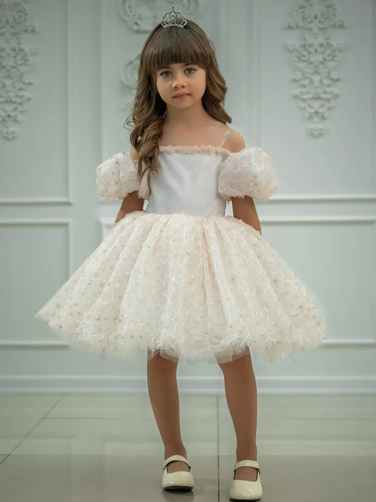 Kinder Prinzessin Abendkleid Host Klavier Leistung Geburtstag Party Kleider Für Mädchen A4906 Vestidos Brautjungfer Kleider – Detail 4