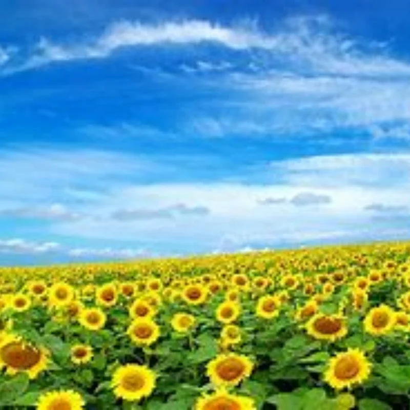 

4 шт. 100x42 мм 42/100 шина 17 мм шестигранное колесо для Arrma 1/7 Infraction Felony Limitless RC автомобиль обновленные детали аксессуары