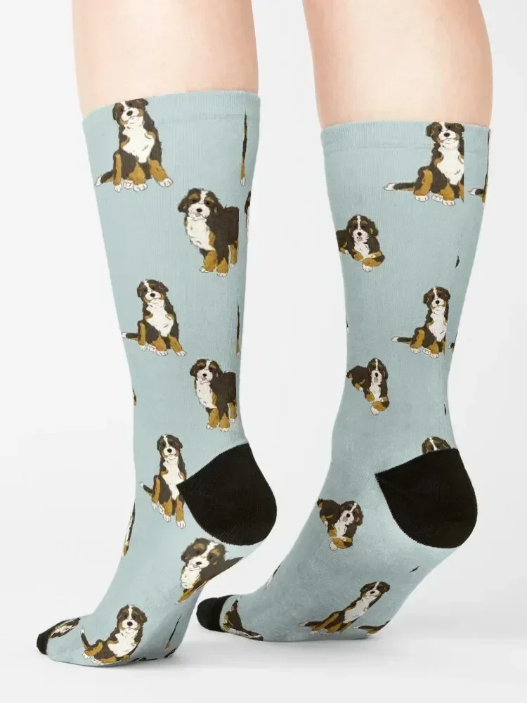 Bernedoodle Doodle Dog Socks set fashionable New year's cycling Men's Socks Luxury Women's
