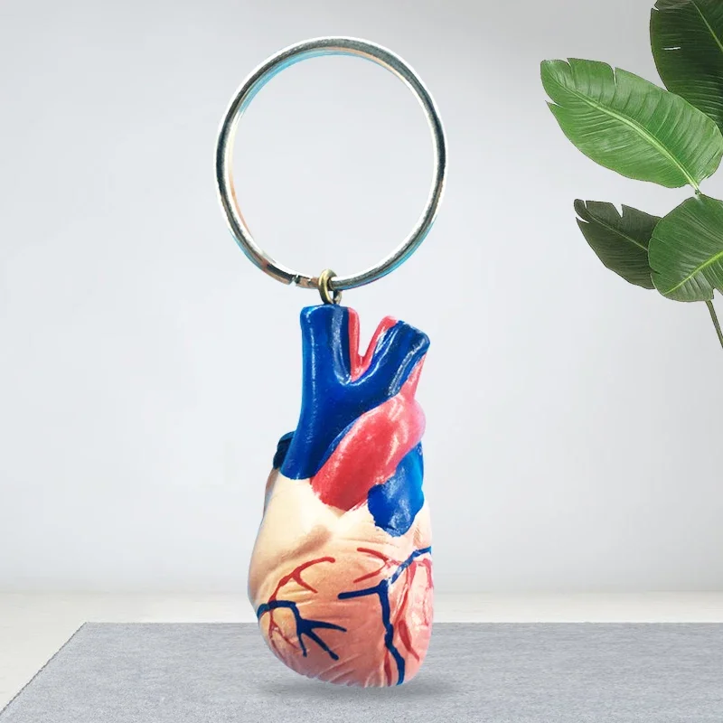 Heart Keychain Car Ornaments Creative Gift Human Viscera Model Key Chain Gift Belt Chain Jewelry