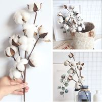 1 PCS 10 Heads Dried Cotton Flower Simple Handmade Artificial Plants Creative Natural False Floral Branch