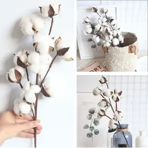 Dry cotton flower for artificial plants, natural natural floral branch, simple craft flower, 10 heads, 1 pc 10 Main Sales Natural Dry Flowers - №6