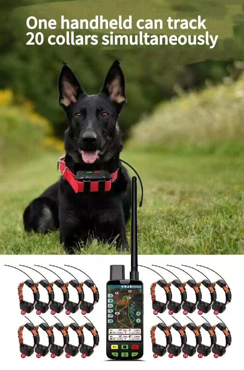 1 Originele merk GPS Tracker Halsband GPS Positionering Handheld