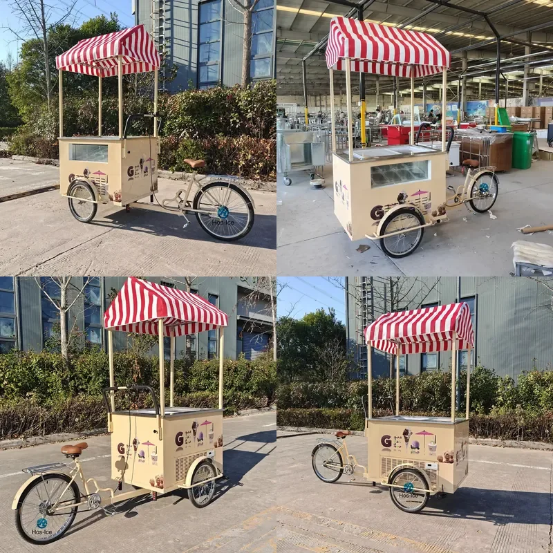 CE Certificate Tricycle Ice Cream Bike High Productivity Gelato Display Freezer for Outdoor Vending Vende Tricicleta De Hielo