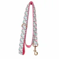 Leash