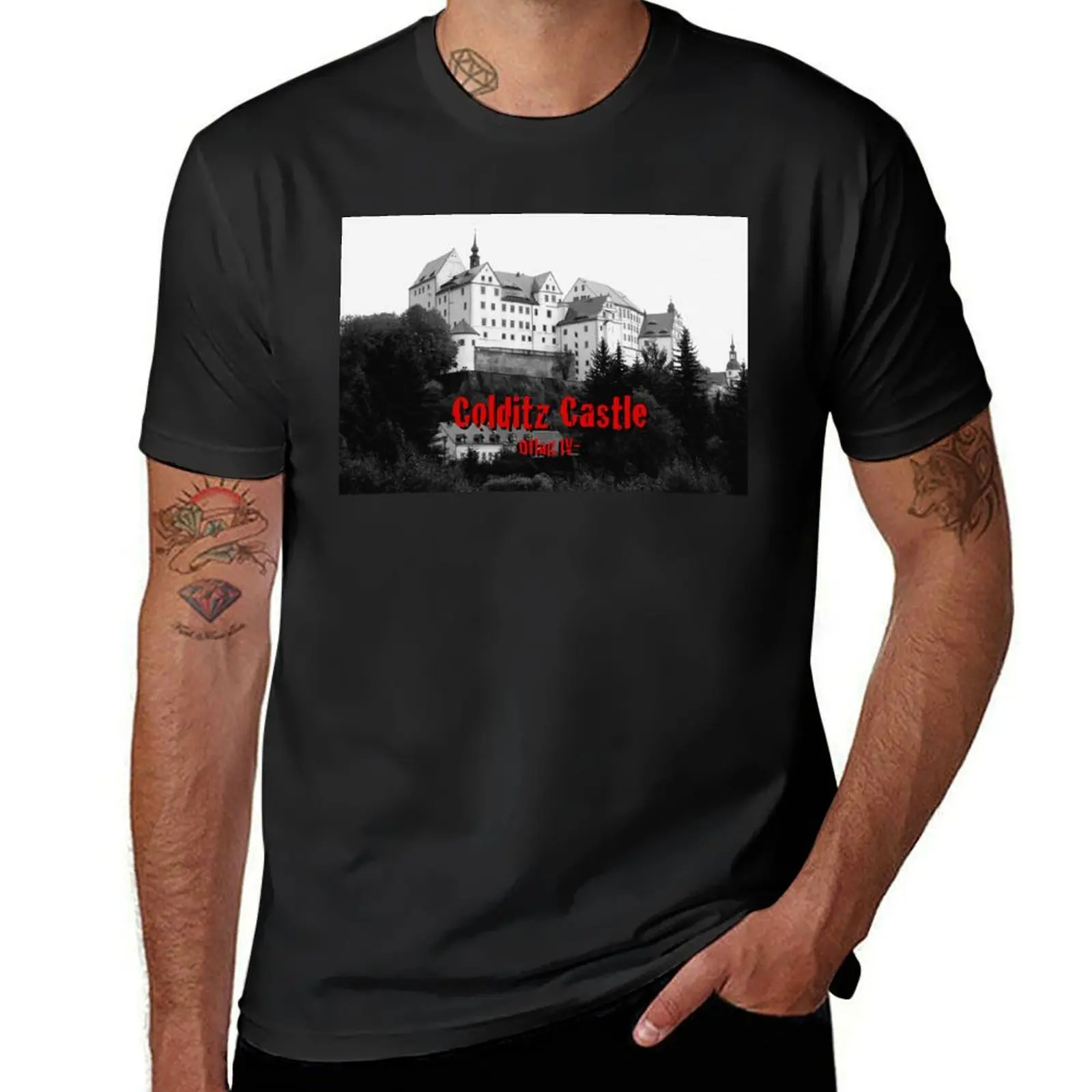 Colditz Castle Schloss Colditz - Pro Photo T-Shirt cute clothes blacks t shirts for men