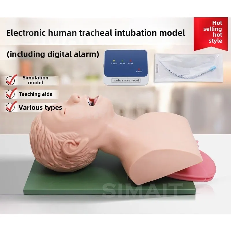 Electronic Endotracheal Intubation Training Manikin with Alarm, Nasopharyngeal Airway First Aid Simulator