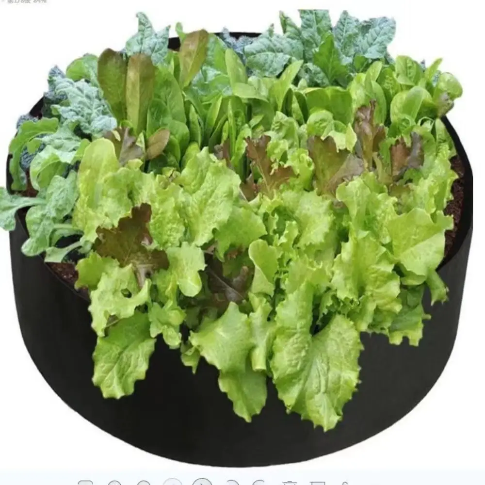 حقيبة نمو اللباد، حقيبة زراعة مستديرة متينة، مقاومة للأوساخ، مقاومة للاهتراء، حقيبة زراعة الشتلات، وعاء وزراعة