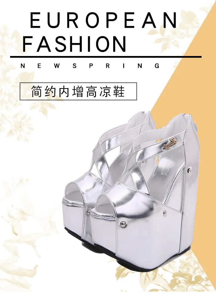 Female Thick Heel Platform Summer Sandal 18Cm Plus Size High Heels Open Toe Women Shoes Party Dress Pumps Women Sandals