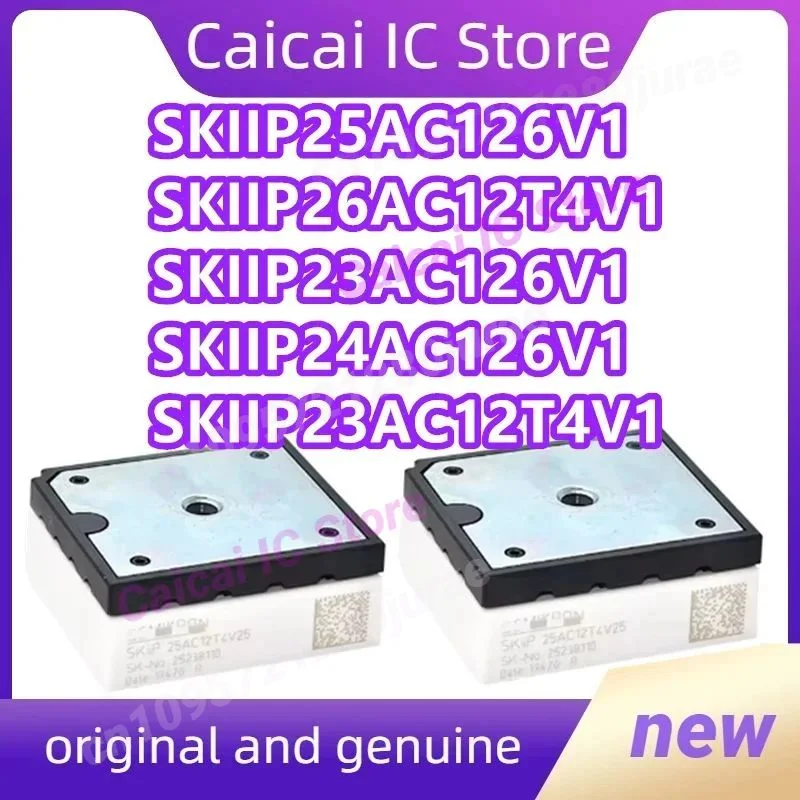 SKIIP23AC12T4V1 SKIIP24AC12T4V1 SKIIP25AC12T4V1 SKIIP23AC126V1 SKIIP24AC126V1 SKIIP25AC126V1 SKIIP26AC12T4V1 SKIIP25AC125V10