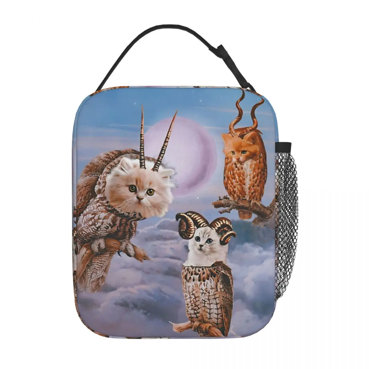 Funny Cat Owl Meme … - image