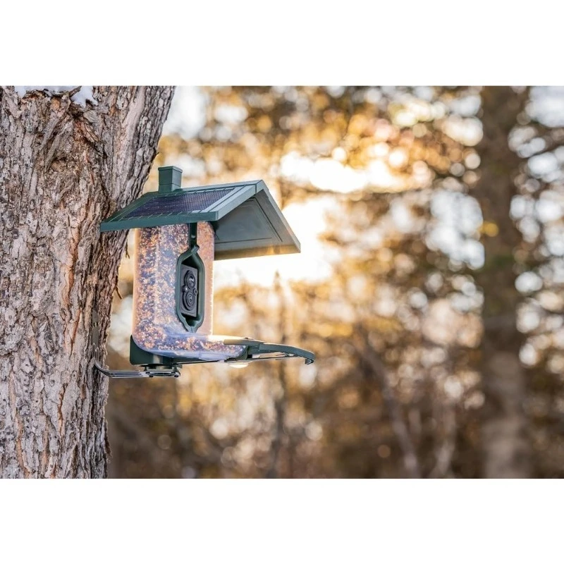 وحدة تغذية الطيور الذكية مع كاميرا AI تعمل بالطاقة الشمسية، التقاط صور فيديو عالي الدقة عبر الهاتف #3