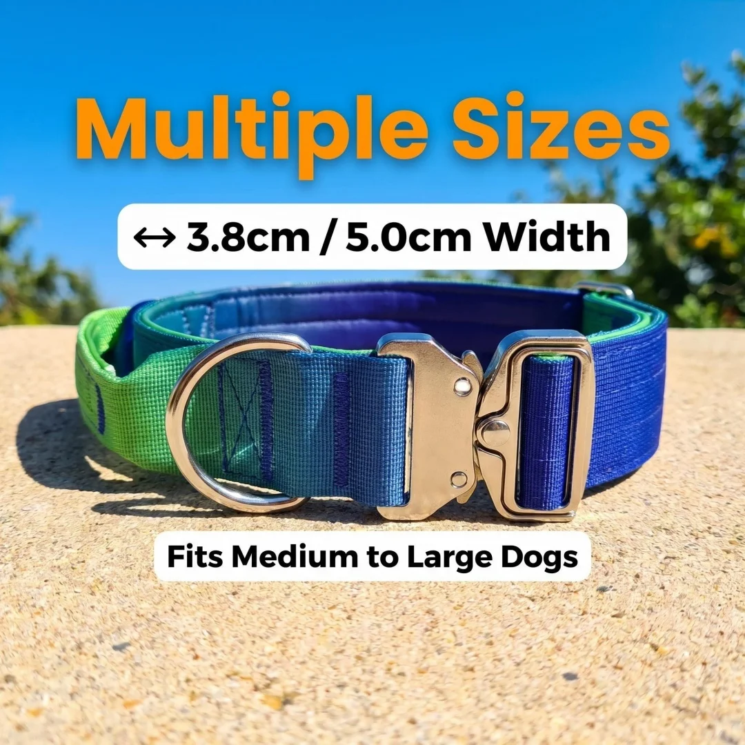 Thumbnail 3 - #44 Puppy Training Collars Comparison Guide