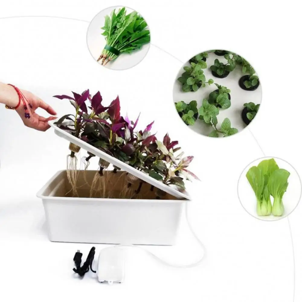 Indoor Hydroponic Grow Kit 5