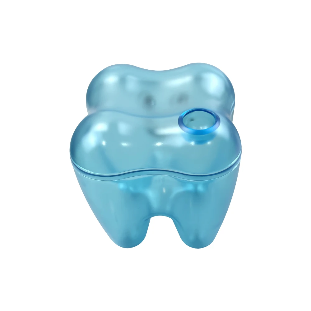 Transparente Dente Forma Dental Desktop Caixa De Armazenamento, Keychain Titular, Dentista Presentes, Clínica, Odontologia Acessórios, Bonito, 1pcs