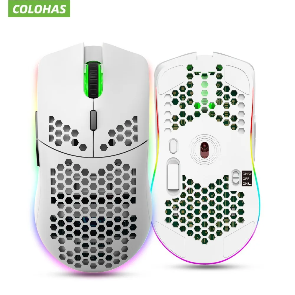 HXSJ T66 RGB 2.4G Wireless Gaming Mouse RGB Lighting Charging Mouse with Adjustable DPI Ergonomic Design for Desktop Laptop