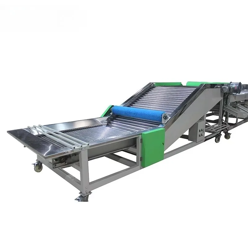 آلة فرز حجم الثوم الرقمية المتقدمة، معالجة دفعة صغيرة من الدرجة الغذائية