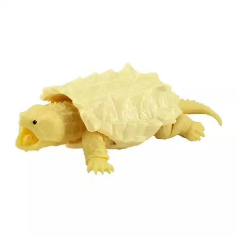 BANDAI-figura de Gashapon de Anime para reptiles, tortuga, tortuga Kawaii, modelo de acción, cápsula, juguetes, regalo para niños
