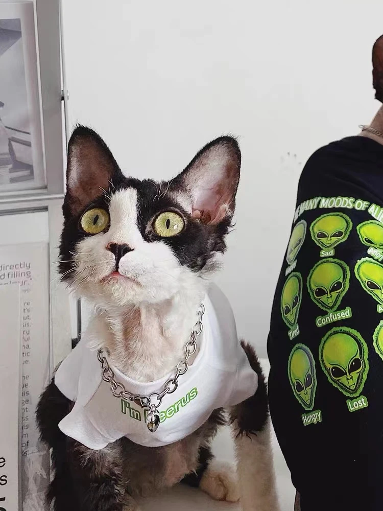 Sphynx Cat Coat Fashion Alien Print Sweatshirt Long Sleeves for Male Cat Black White Cotton T-shirt for Kittens in Spring