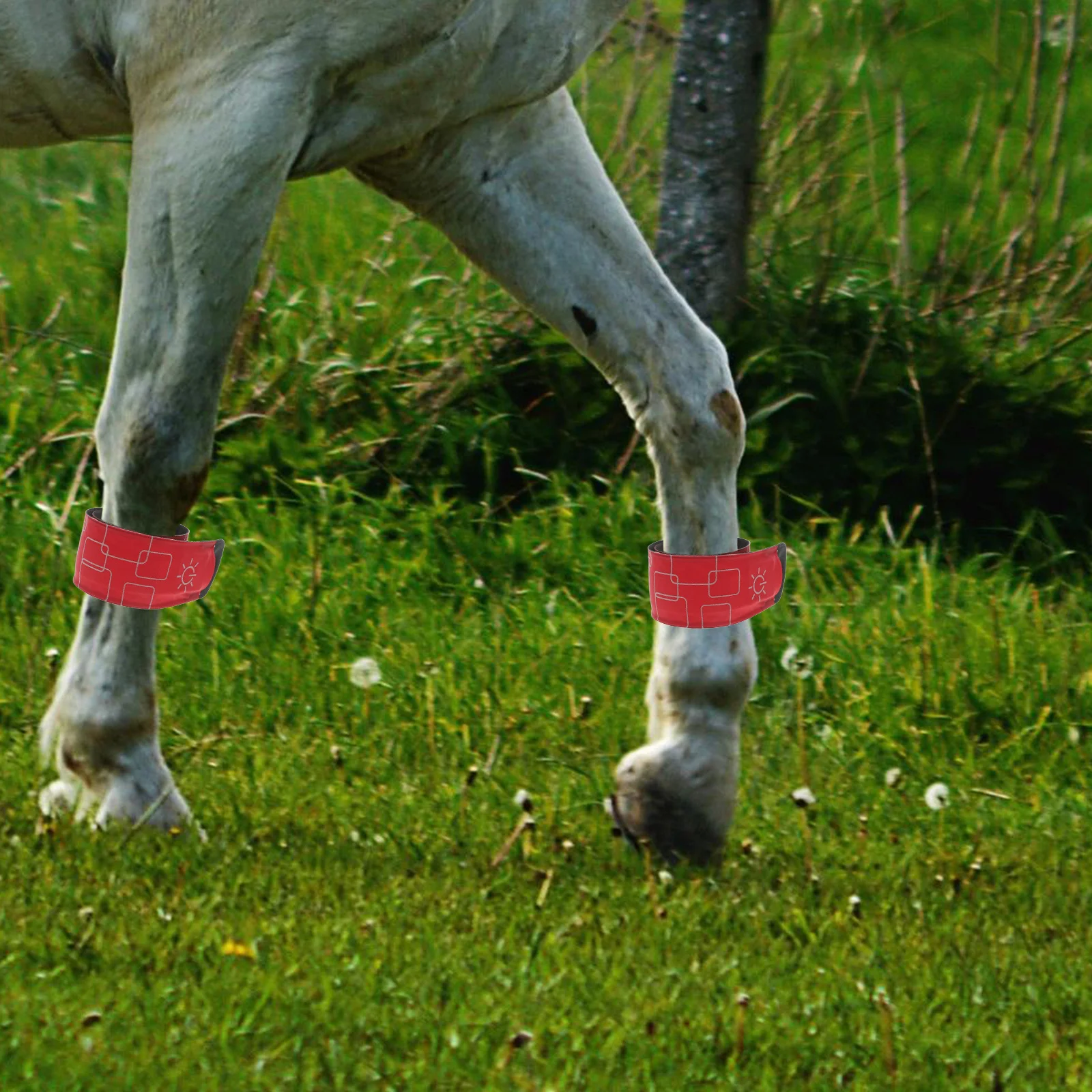 4 قطعة LED الحصان الكاحل العصابات عاكسة قابل للتعديل الساق يلتف ليلة تشغيل الدراجات في الهواء الطلق تعزيز الرؤية السلامة #5