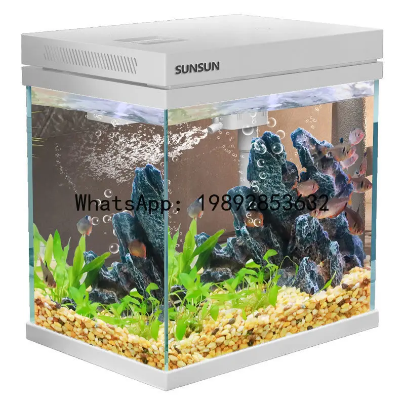 Acuario ultraclaro para peces  - Aquarium Fish Low Maintenance reseña y precio