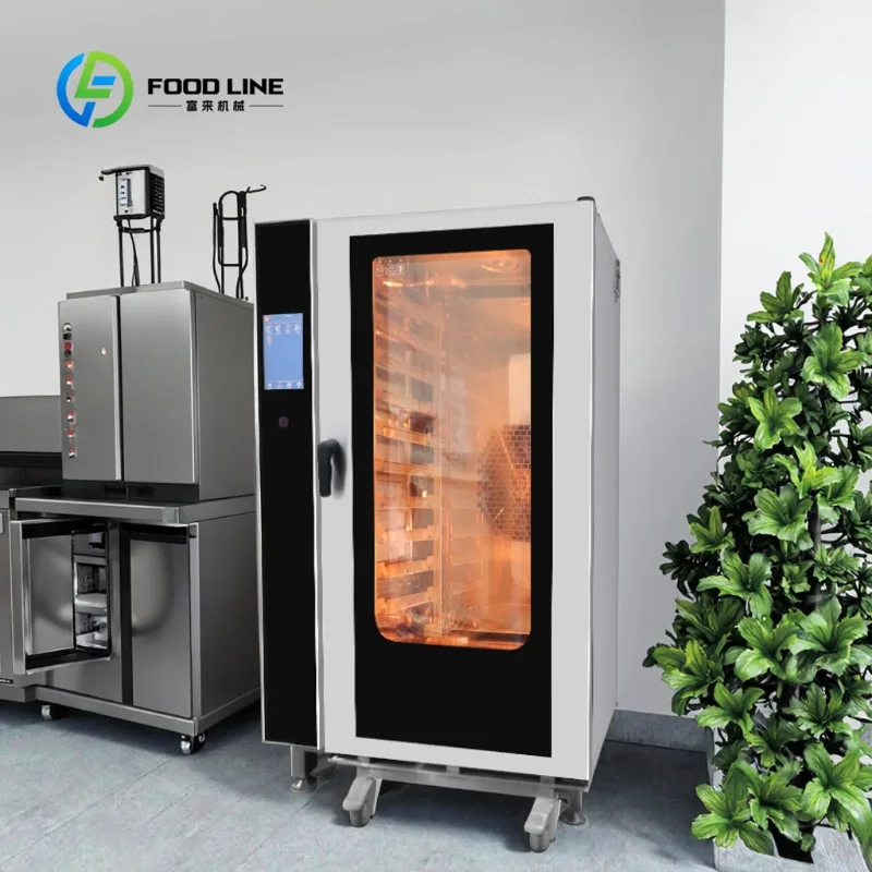 Customized Industrial Steam Convection Oven 150°C Superheated Steam Double Hot Air Circulation Automatic Cleaning 55L Built-in