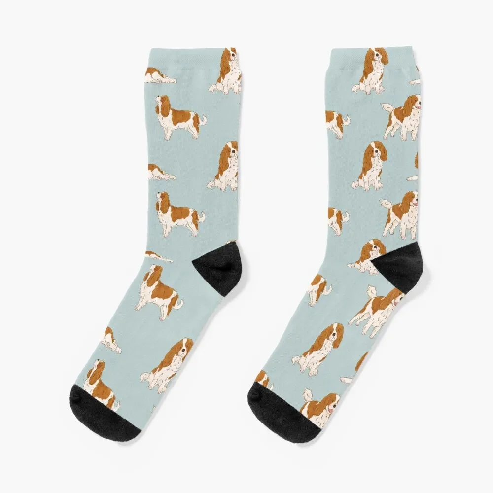 

Blenheim Cavalier King Charles Spaniel Dog Socks cartoon hiking Luxury Woman Socks Men's