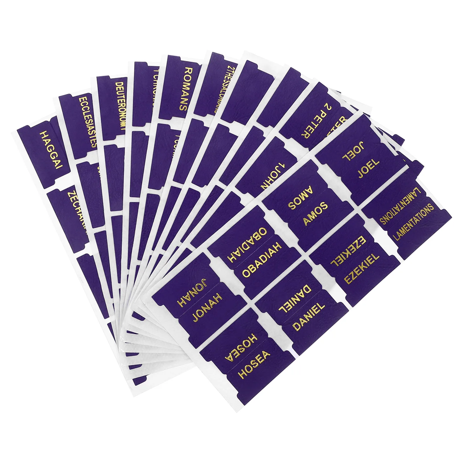 

66 Bible Tabs Labels Stickers 14 Blank Index Markers Clear Font Book Accessories Mini Dividers Efficient Reading Section