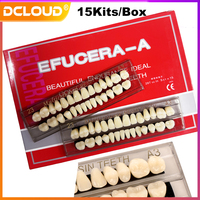 15Packs Resin Denture Teeth Set Polymer Denture Teeth Dental Bleaching Plate for Dentistry Education Research Lab Training Model