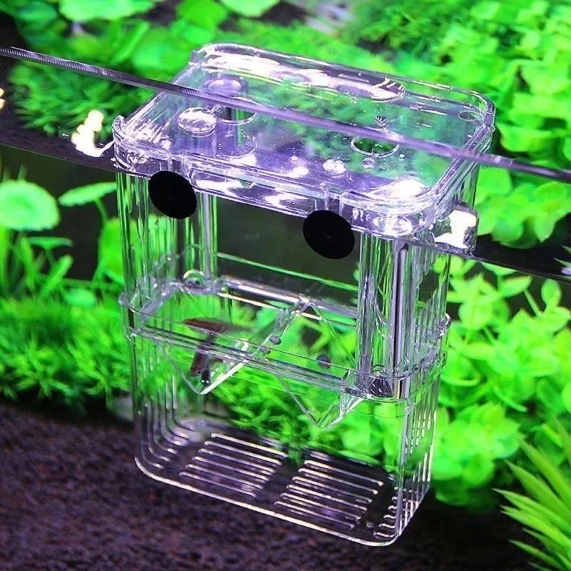 Multifunctional Fish Tank High Definition Fish Breeding Isolation Box Aquarium Breeder Fish Tank Double Guppy Incubator