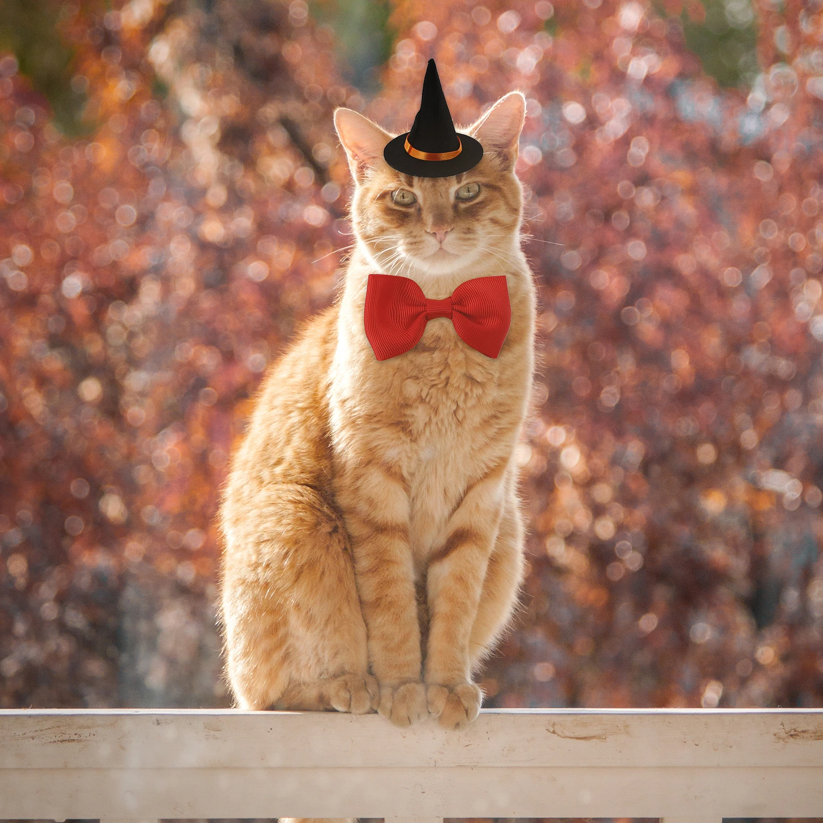 

1Set Pet Witch Hat Bowtie Halloween Festival Costume Accessory Elastic Comfortable Cat Dog Costume Accessory Pet Witch Hat