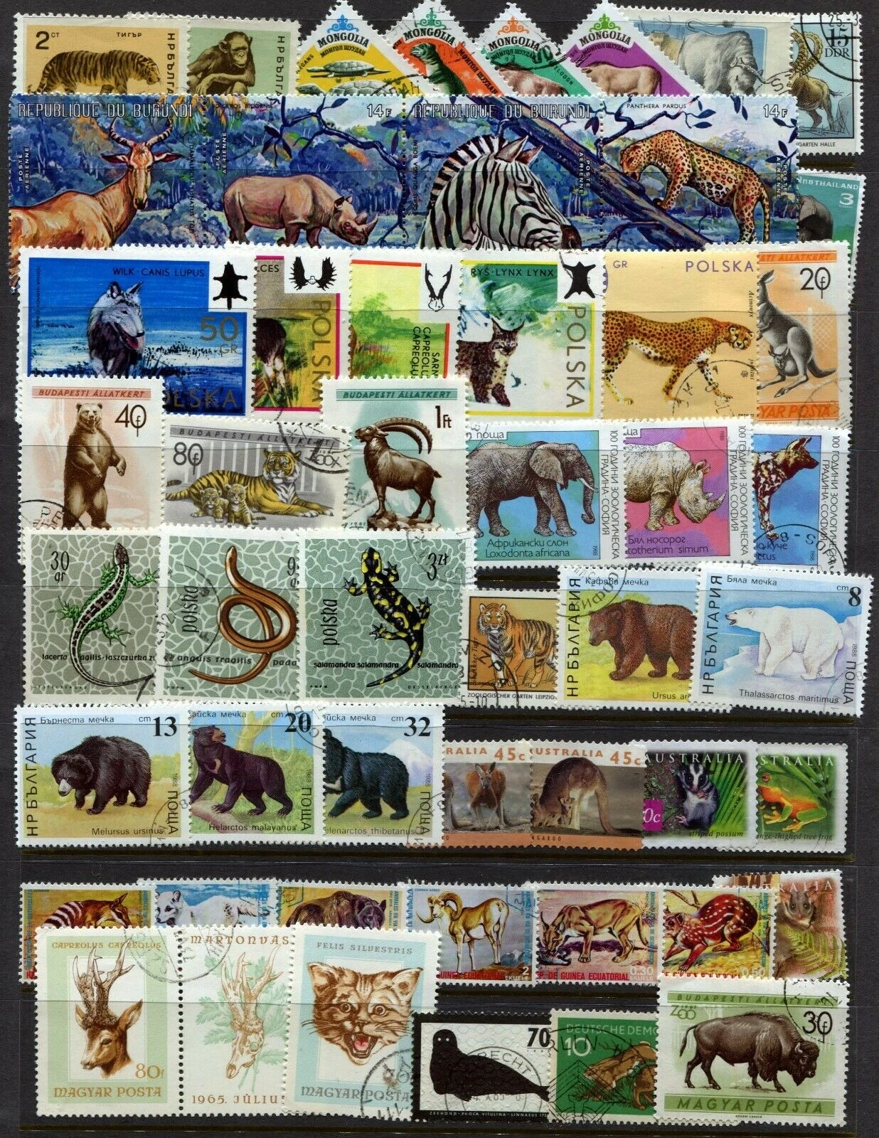 Wildtiere der Welt: Echte Briefmarken mit Tiermotiven, 100 verschiedene Tierbriefmarken, Sammlung, Sammlerbriefmarken – Detail 7