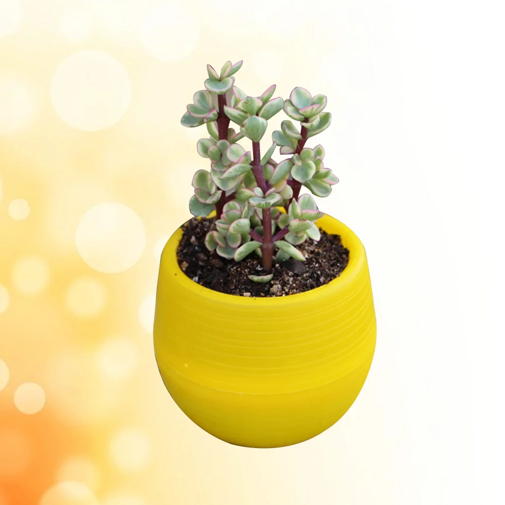 Mini Round Resin Flower Pot Solid Color Planter Home Office Decor for Succulents Cactus (Green) resin pot