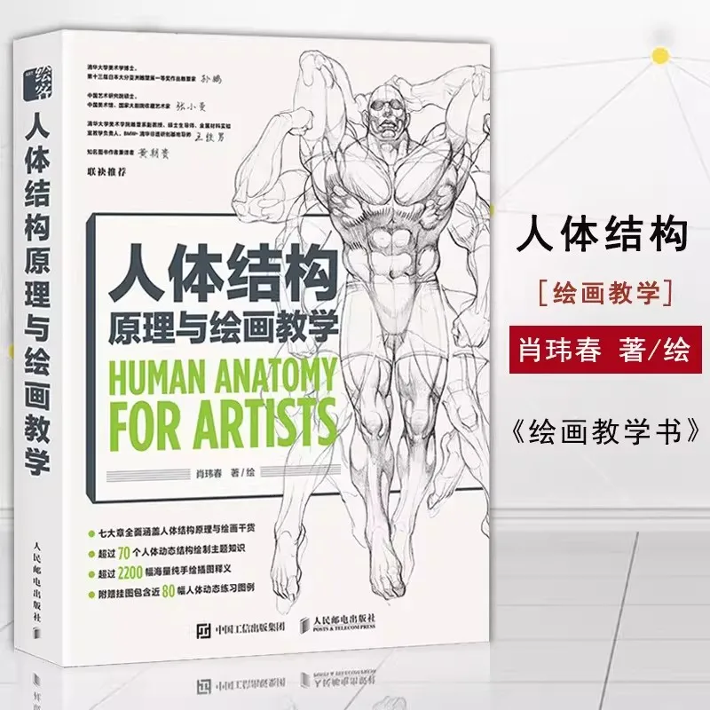 Adult Human Anatomy For Artists Human Body Structure Principle and Painting Teaching Book Anime Game Figure Copy Collection Book
