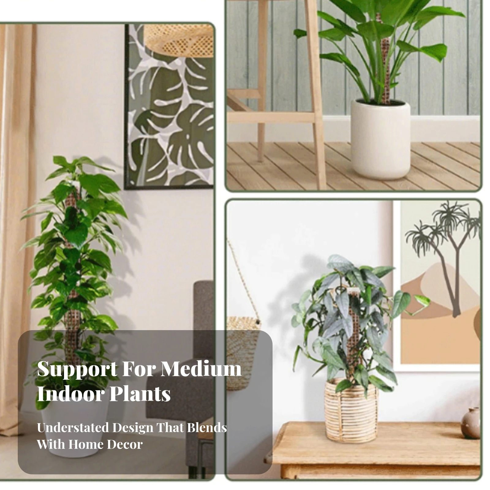 2 Pieces Mesh Plant Support Stake Adjustable Potted Climbing Plant Support Stake Stackable Sphagnum Pole Long-Lasting Sturdy