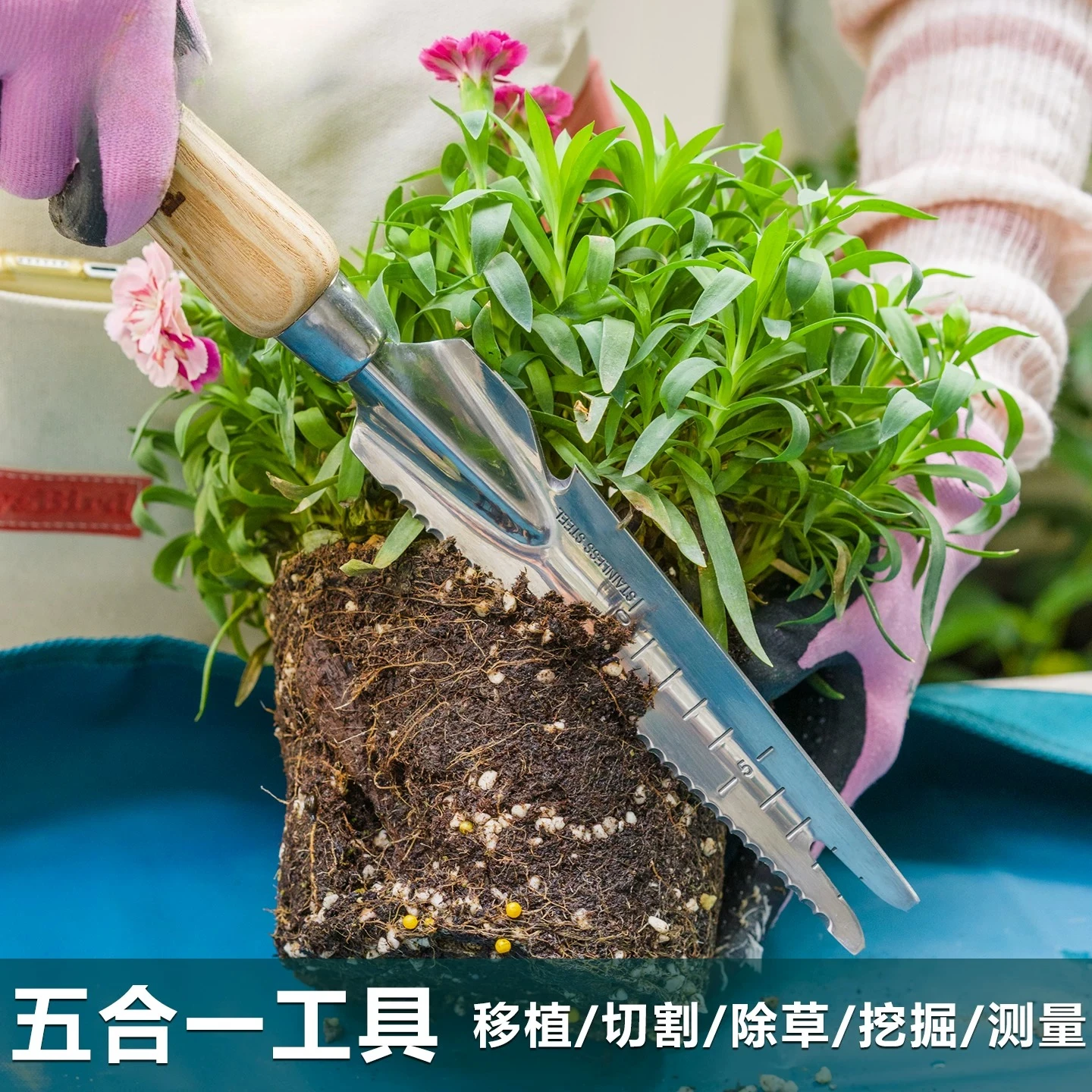 Gardening Forest Home Gardening Balcony Planting Flowers Weeding Loosening Soil Digging Plants Changing Potting weed puller