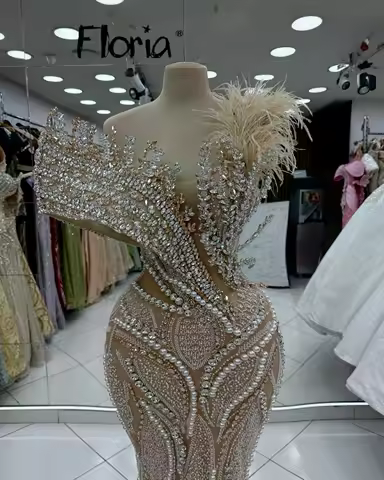 Long Feathers Celebrity Dresses Luxurious Crystals Lace Evening Dresses Mermaid Birthday Party Engagement Dress Customized