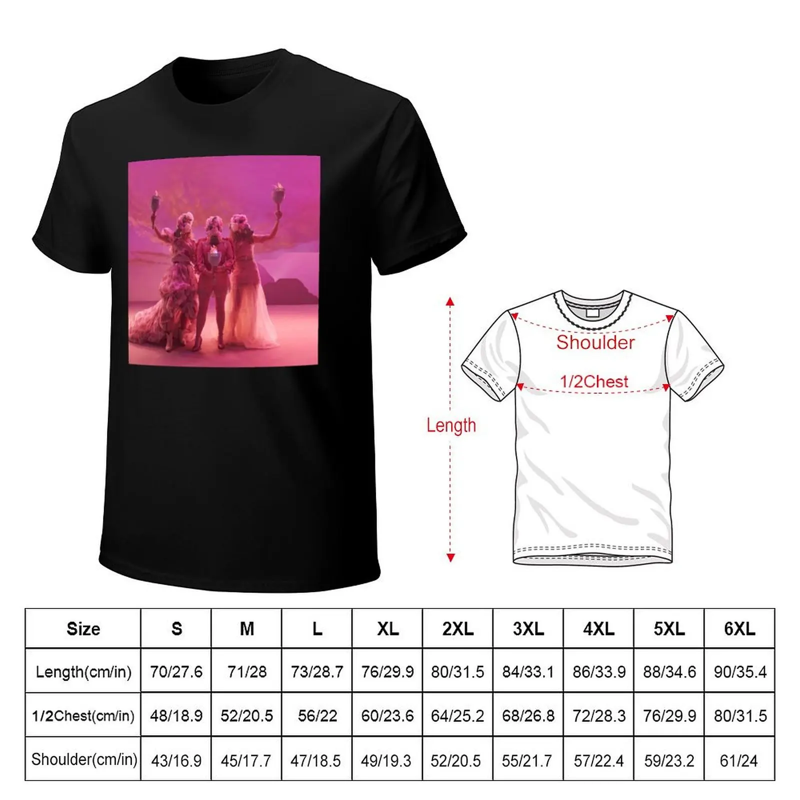 Dixie Chicks 1 warroe T-Shirt Lightweight Gym Training T-Shirt