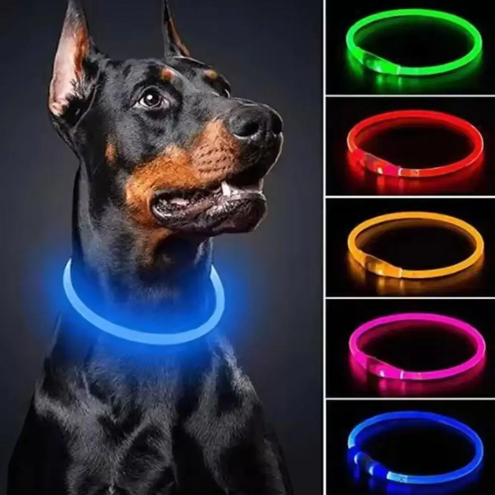 Collares LED recargables por USB para perros, Collar de seguridad intermitente para pérdida nocturna luminosa para mascotas, prevención de brillo, D7E4, alta gama, nuevo