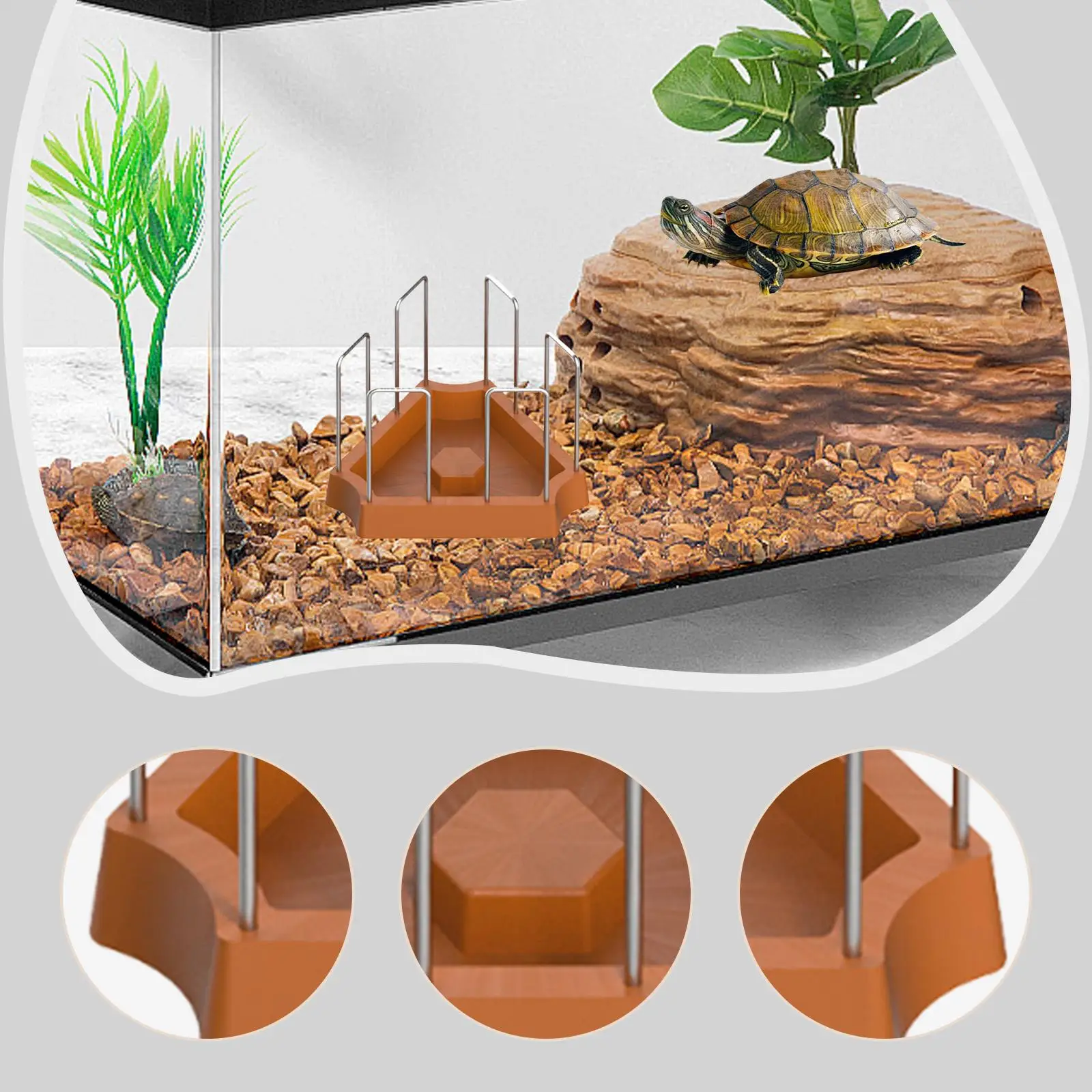 Turtle Food Tray Durable Plastic Feeding Plate Spill Resistant for Land Turtle Accessory and Turtle Ball