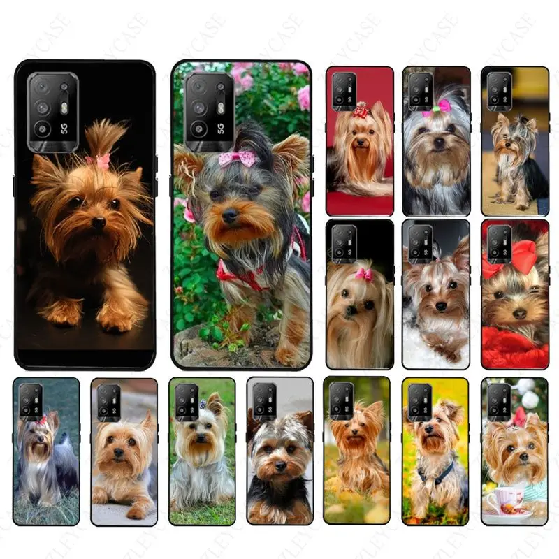 yorkshire terrier dog puppy Phone case For OPPO A94 A74 A9 A5 A53 A73 2020 A57 A96 4G A54 A78 A77 A98 A72 5G Cover coque